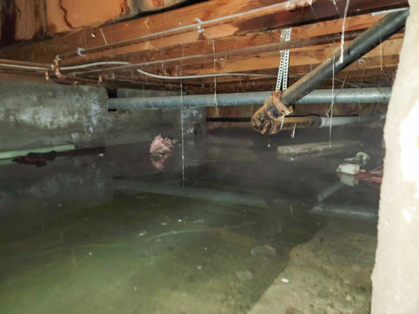 Best Emergency water damage restoration  in Brookville, OH