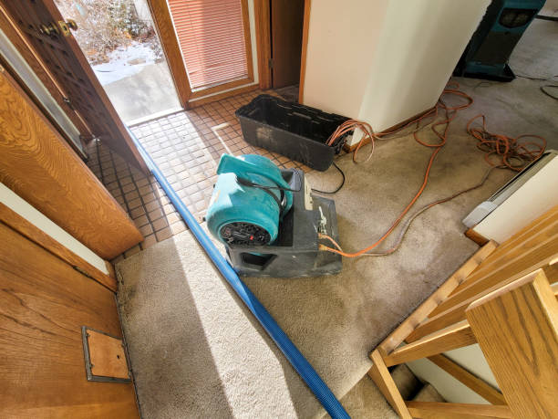 Best Water damage restoration near me  in Brookville, OH