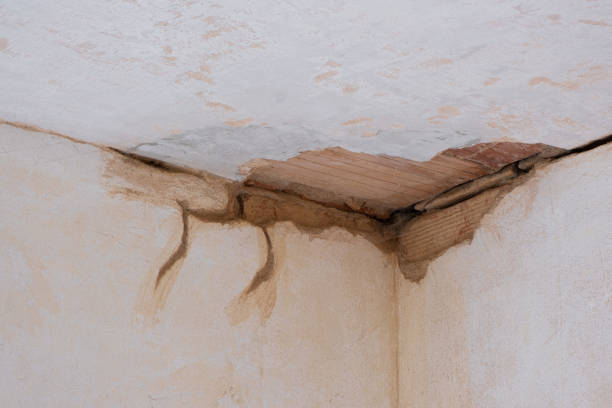 Best Residential water damage restoration  in Brookville, OH