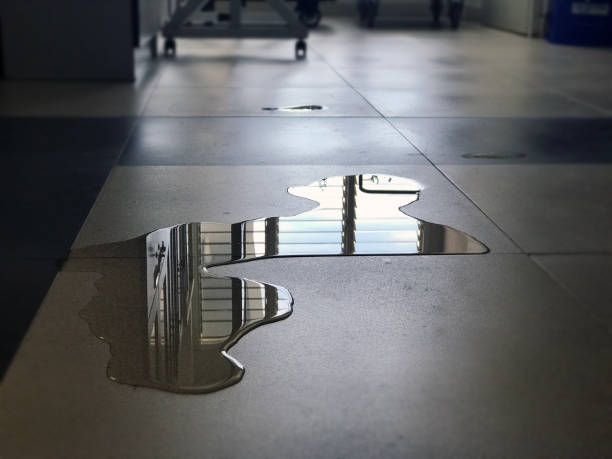 Best Water damage restoration company  in Brookville, OH