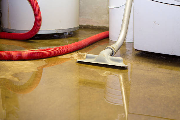 Best 24/7 water damage repair  in Brookville, OH