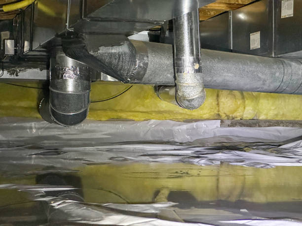 Best Carpet water damage restoration  in Brookville, OH