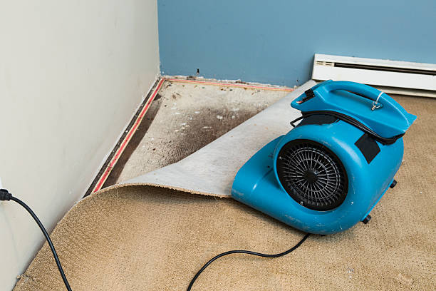 Best Professional water damage repair  in Brookville, OH